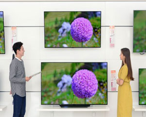 LG전자, 올레드 TV 대중화 박차